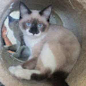 Meet your Posher, Mrs